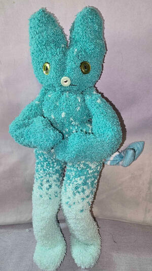 another blue and white fella. very shy. Very soft.